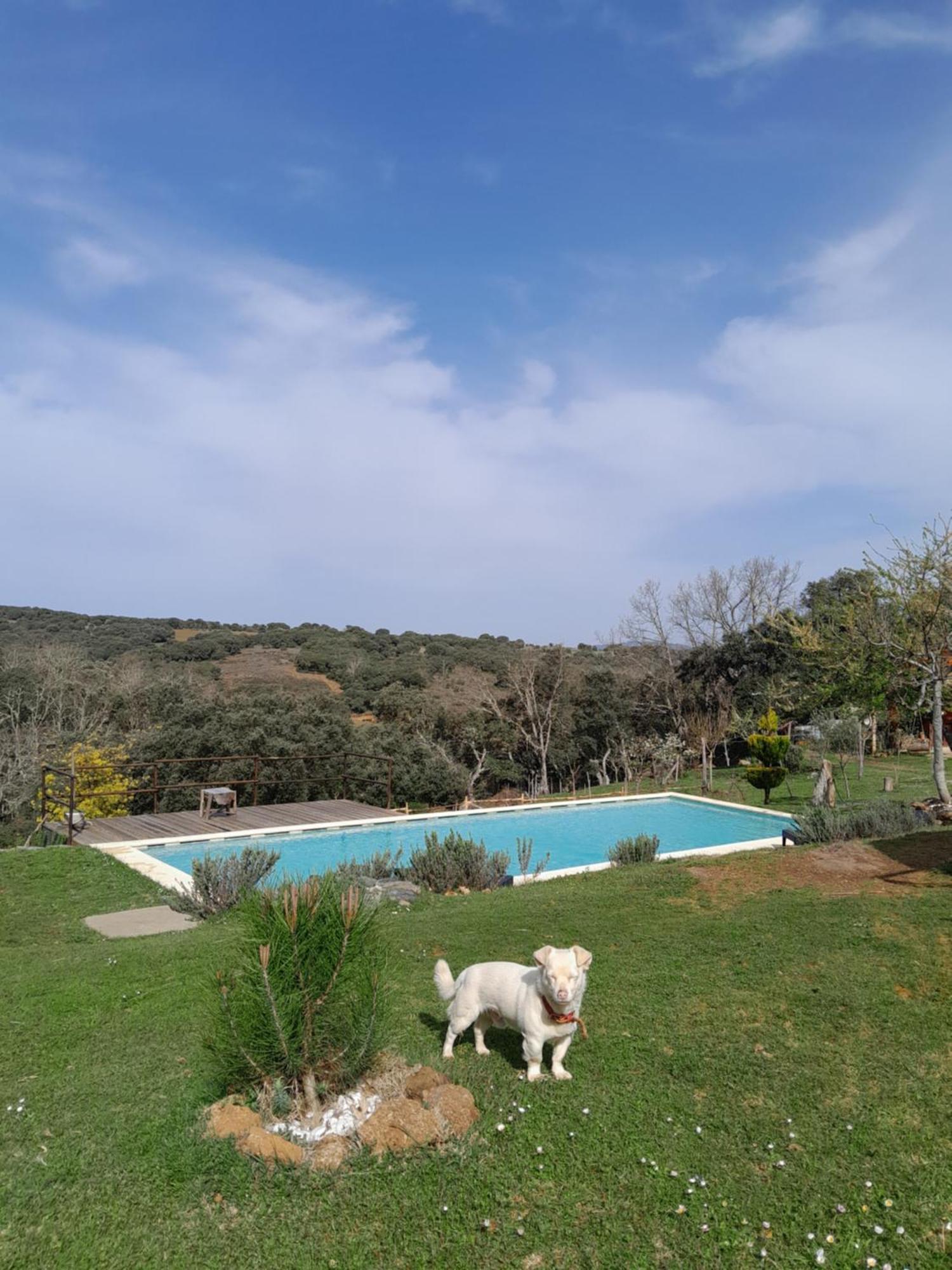 ビニャイシュQuinta Da Devesa B1アパートメント エクステリア 写真