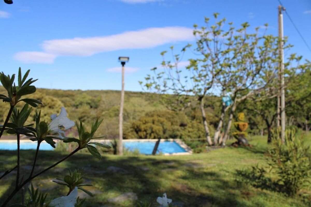ビニャイシュQuinta Da Devesa B1アパートメント エクステリア 写真