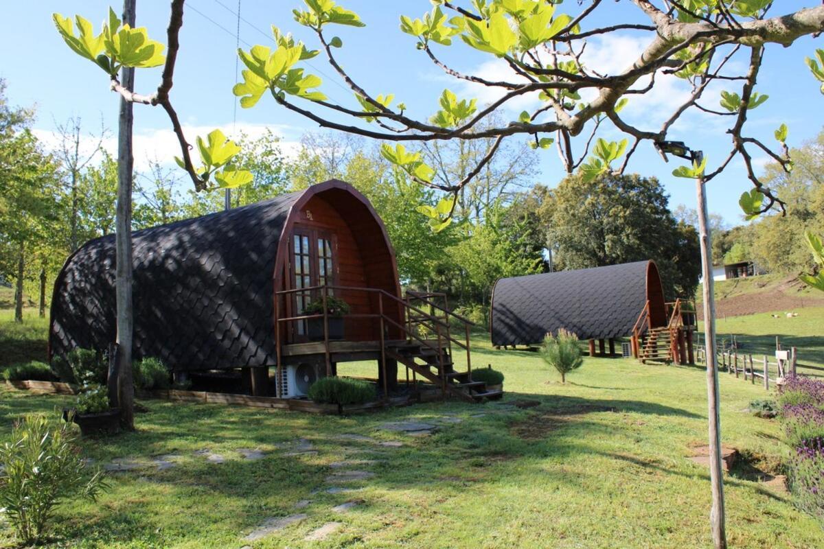 ビニャイシュQuinta Da Devesa B1アパートメント エクステリア 写真